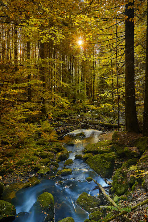 Gemeinde Neuschönau Landkreis Freyung-Grafenau Lusen Kleine Ohe Waldhausreibe (Dirschl Johann) Deutschland FRG